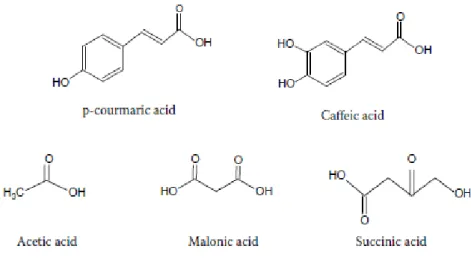 Figura  5  –  Ácidos  fenólicos  e  alifáticos  que  podem  esterificar  as  antocianinas  nos  frutos  vermelhos (Fonte: Monica et al., 2007)
