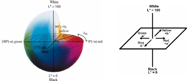 Figura  7  –  Plano  tridimensional  Policromático:  Sistema  de  cores  CIELab  a*,  b*e  L*,  mostrando  hº ab