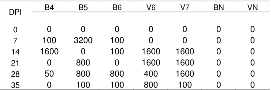 Tabela 3 – Monitoramento sorológico por RIFI das fêmeas inoculadas com a cepa Nc-1 e os animais  não inoculados