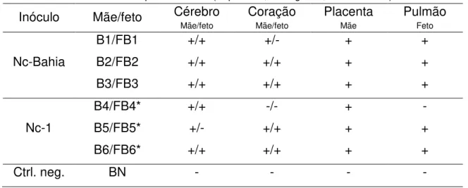 Tabela 4 – Resultados encontrados nas reações semi-nested PCR realizadas com DNA extraído de  tecidos das fêmeas bubalinas infectadas experimentalmente com diferentes isolados de N