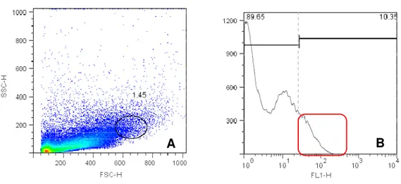Figura 4 - Density plot e histograma de suspensão celular de placentônio bovino em  primeiro trimestre gestacional, com marcação para CD14