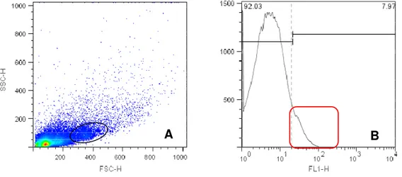 Figura 5 - Density plot e histograma de suspensão celular de placentônio bovino em  primeiro trimestre gestacional, com marcação para CD8