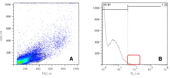 Figura 7 - Density plot e histograma de suspensão celular de placentônio bovino em  terceiro trimestre gestacional, com marcação para CD335