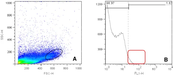 Figura 11 - Density plot e histograma de suspensão celular da região intercaruncular  bovina em terceiro trimestre gestacional, com marcação para CD335