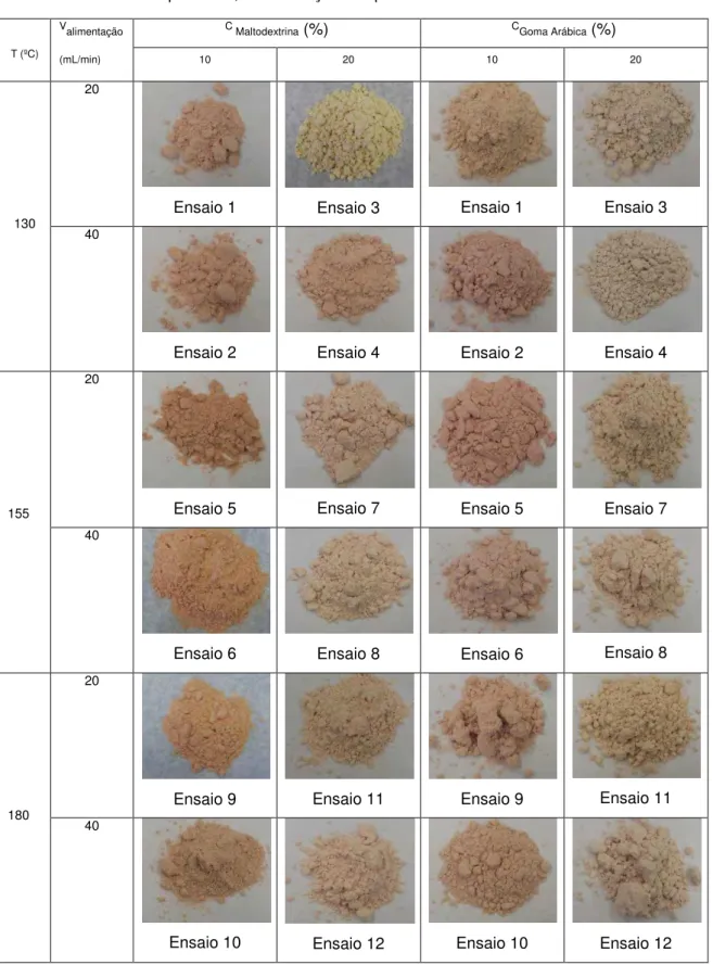 Tabela 6.  Fotografias da polpa de guavira em pó obtida para diferentes condições de  processo, concentrações e tipos de carreadores.