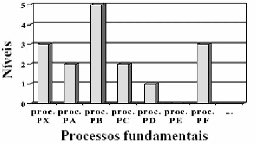 Figura 5.1: Relação entre os processos fundamentais e os níveis de capacidade 