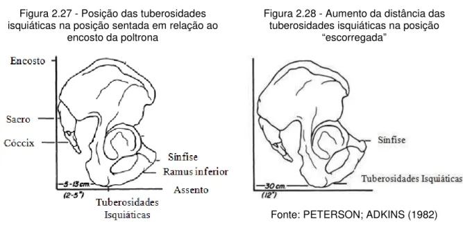 Figura 2.27 - Posição das tuberosidades  isquiáticas na posição sentada em relação ao 