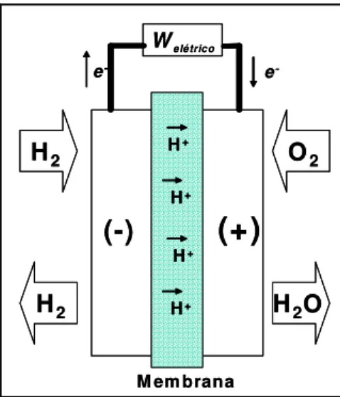 Figura 1: Esquema geral de uma célula a combustível de eletrólito polimérico sólido operando com os  gases H 2  (anodo) e O 2  (cátodo) 