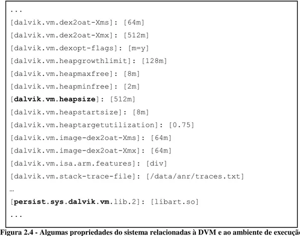 Figura 2.4 - Algumas propriedades do sistema relacionadas à DVM e ao ambiente de execução 