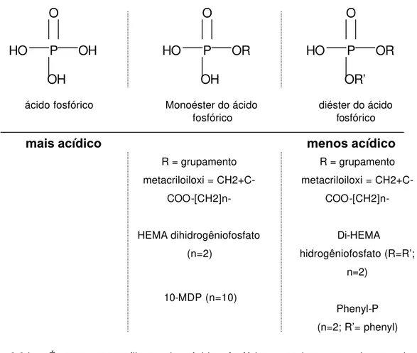 Fig. 2.3.b: Ésteres metacrílicos de ácido fosfórico usados em alguns sistemas  autocondicionantes