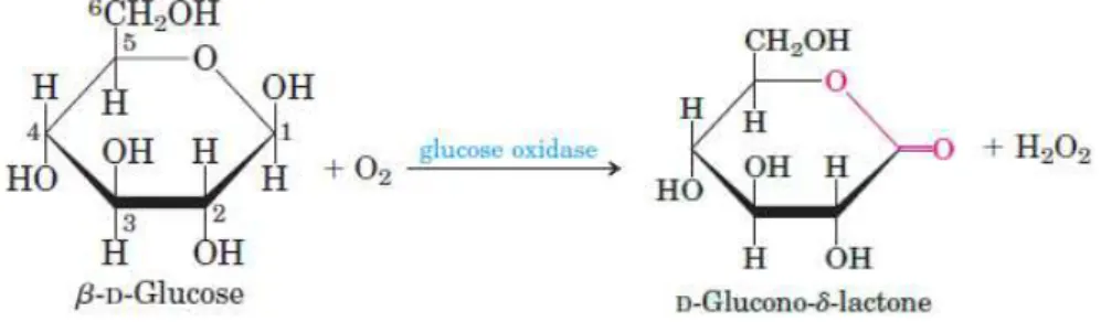Figura 5: Reação de oxidação da glicose catalisada pela enzima Glicose Oxidase. 