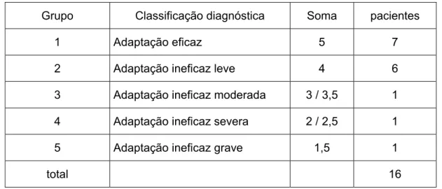Tabela 5. Classificação quantitativa da adaptação do indivíduo 