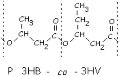 Figura 1 Estrutura do copolímero de poli-3-hidroxibutirato-co-3- hidroxivalerato    (P3HB-co-3HV) 