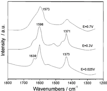 Figura  1.3.1:  Espectro  Raman  &#34;in  sifu&#34; obtido  para  o  poli(5-NH2  1-NAP)  em  pH=O,  filme  preparado  na  presença  de  HCI04 2M e monômero 1 mM