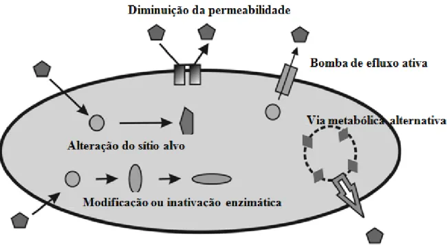Figura  2 - Esquema  dos mecanismos  bioquímicos  de resistência antimicrobiana.  Adaptado  de Iosif  (21) 
