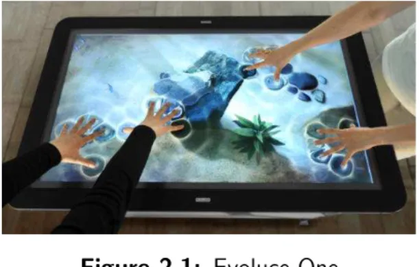 Figure 2.1: Evoluce One