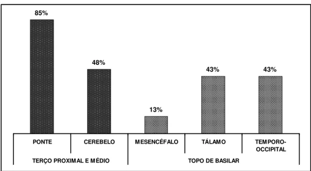 Figura 2. Local do infarto na ressonância magnética