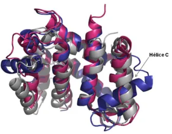 Figura 13 - Estruturas  das proteína HS100A12 apo (PDB 2WCE) em cinza, com cálcio (PDB 1E8A) em azul  e com zinco (PDB 2WCB) em rosa, evidenciando a mudança conformacional na hélice C