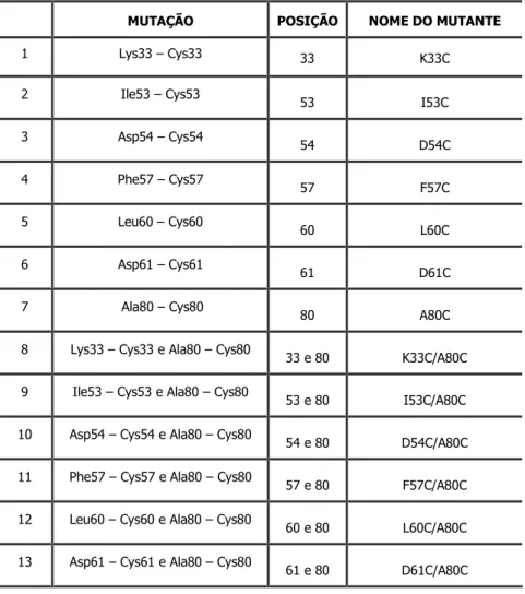 Tabela 1 - Resíduos de aminoácidos de HS100A12 que foram mutados por resíduos de cisteína, gerando  mutantes simples e duplos da proteína