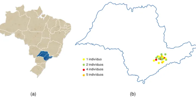 Figura 3: Mapas: (a) do Brasil, em destaque (em azul) o Estado de São Paulo. (b) do Estado de São  Paulo  representando  as  cidades  com  maior  número  de  Tomodon  dorsatus  enviados  ao  Instituto  Butantan (2008 - 2009)