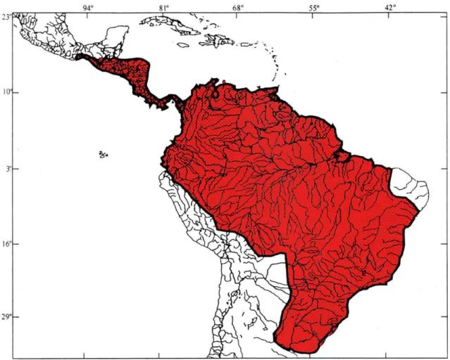 Figura 1: Mapa evidenciando região neotropical (adaptado de Albert &amp; Campos1da1Paz,  1998)