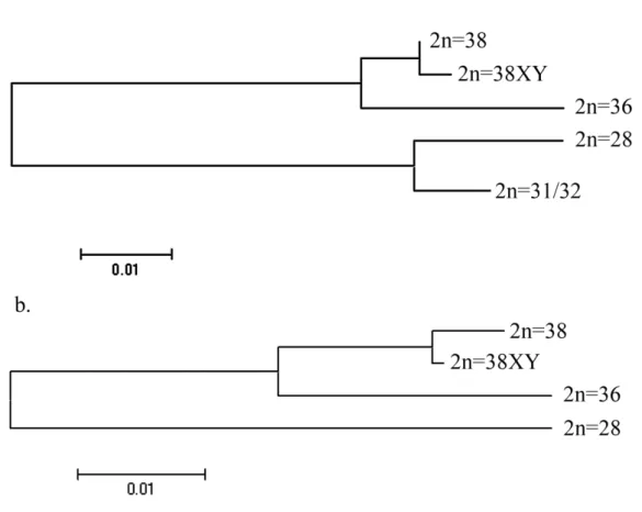 Figura  12:  Comparação  das  topologias  das  árvores  de  ( ' )*   (NJ)  com  cálculo  de  '   (1000  pseudoréplicas),  utilizando1se  o  modelo  Kimura121 Parâmetros, para as sequências de menor (a) e maior (b) tamanho do gene ribossômico  5S