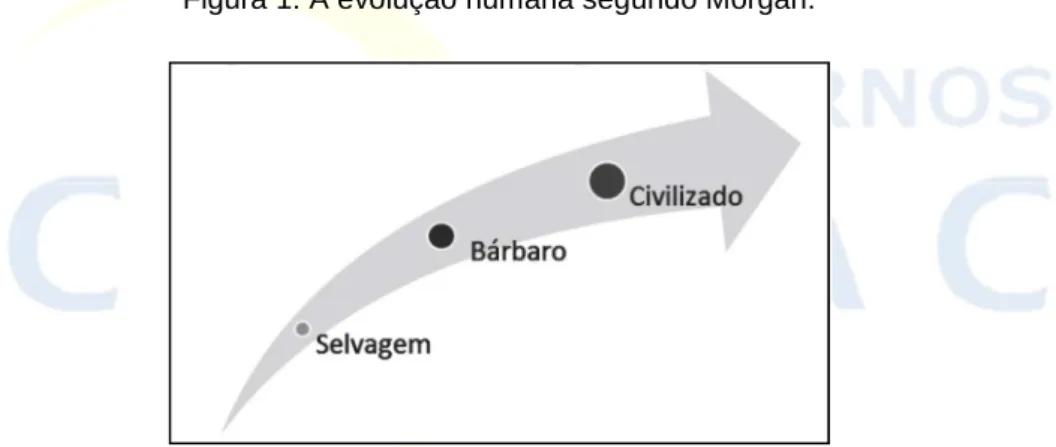 Figura 1: A evolução humana segundo Morgan.  