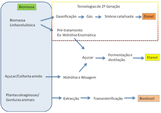 Figura 1: Etapas de produção de biodiesel (adaptado de Doornbosch et al. 2007) 