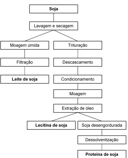 Figura 4. Cadeia de processamento da soja. Adaptado de OECD (2002). 