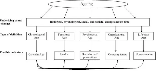 Figura 6 - Representação de possíveis definições do conceito de idade e seus indicadores 