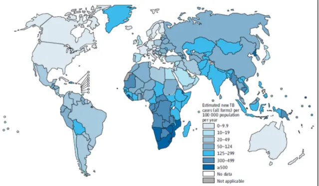 Figura 1 – Taxa estimada de incidência global de tuberculose no mundo, 2012 