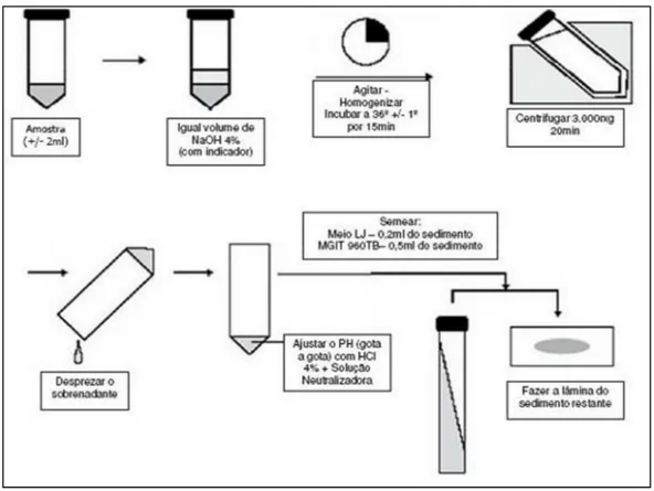 Figura 7 - Procedimento de descontaminação e digestão da amostra – Método  de Petroff 