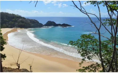 Figura 1: Vista da Praia do Sancho, Fernando de Noronha-PE. 