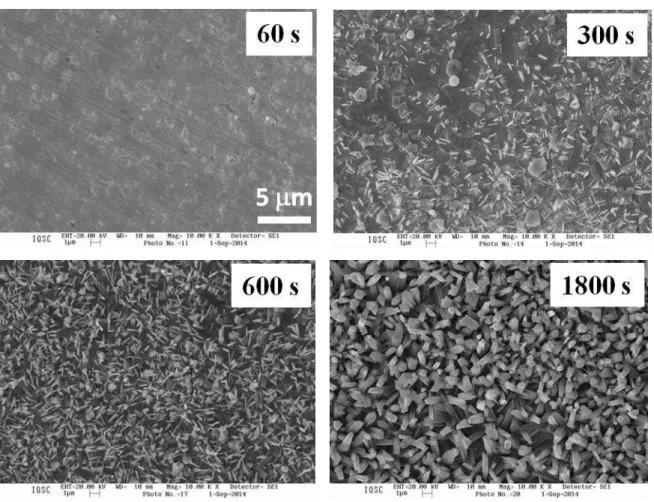 Figura 13 - Imagens de MEV dos f-Se depositados em HNO 3  0,1 mol L -1  contendo SeO 2  0,02 mol L -1 , E d  de 