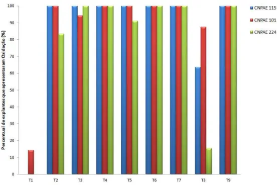 Figura 14 - Percentagem de explantes com oxidação das três procedências de pinhão manso (J