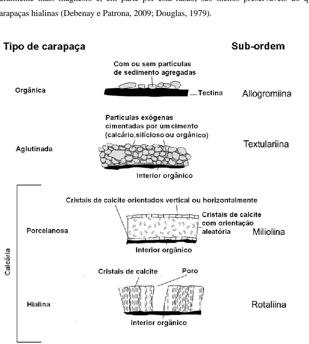 Fig. 1.1. Diferentes tipos de carapaças foraminíferos e sub-ordens correspondentes (adaptado de Scott et  al., 2001)