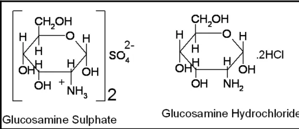 Figura 8 - Estrutura da glucosamina sulfato e da glucosamina cloro-hidrato - São Paulo - 2009 