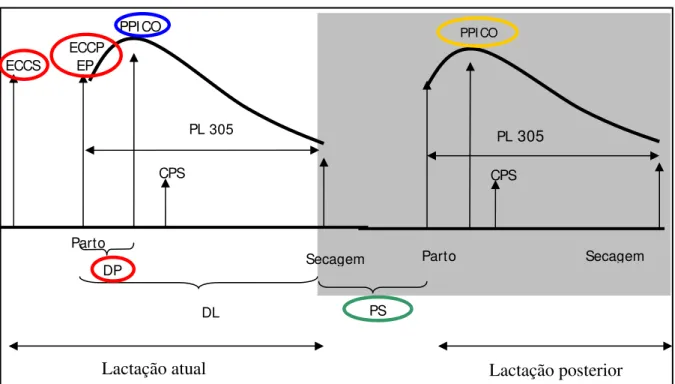 Figura 2- Esquema das variáveis explicativas e resposta, utilizadas no modelo final para  avaliar o impacto dos eventos ocorridos antes e após o parto sobre a produção de  leite no pico  