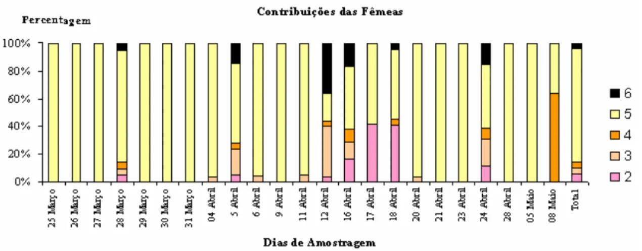 Figura 9 – Contribuição das cinco fêmeas para a descendência ao longo da época de postura
