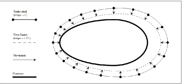 Figura  12-Exemplificação  do  procedimento  do  algoritmo  SNAKE  na  identificação  de  um contorno