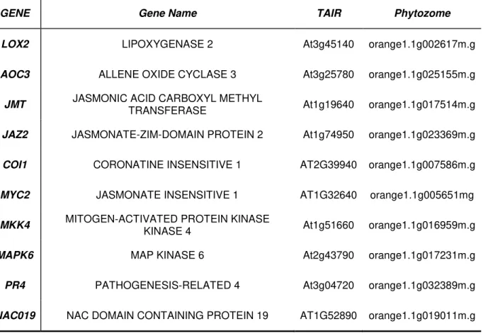 Tabela  1  -  Código  e  anotação  dos  genes  selecionados  para  avaliação  das  vias  de  jasmonato  em  resposta à infecção por HLB  