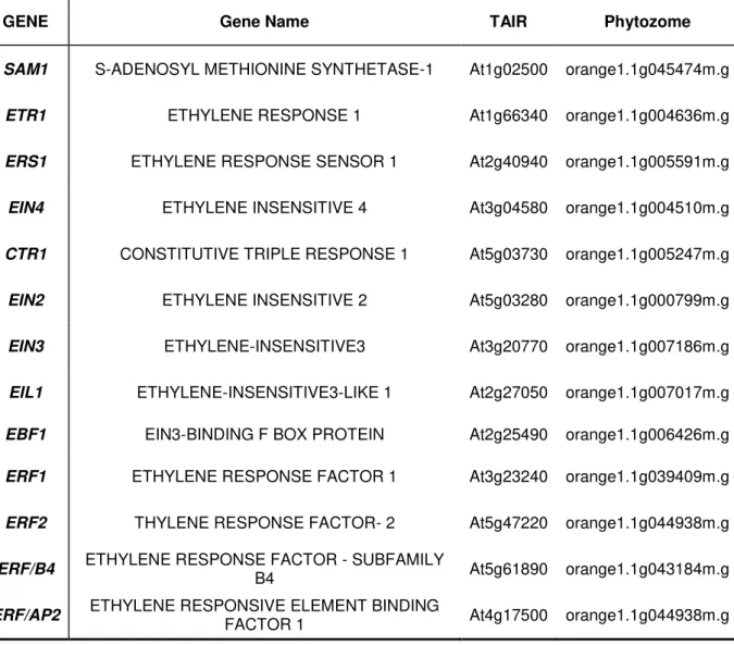 Tabela 2 - Código e anotação dos genes selecionados para avaliação das vias do etileno em resposta  à infecção por HLB  