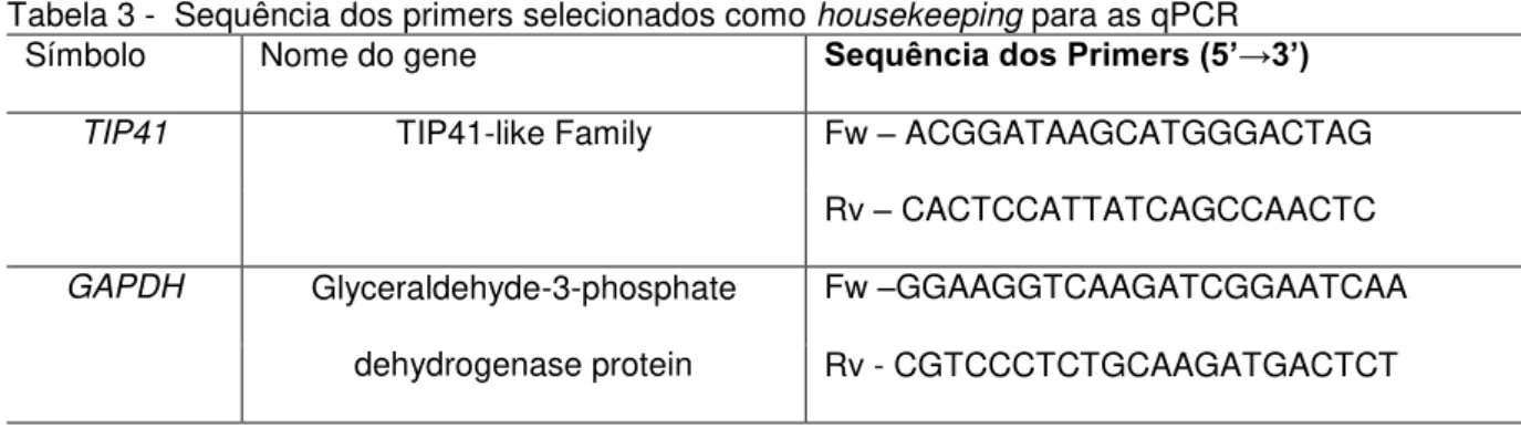 Tabela 3 -  Sequência dos primers selecionados como housekeeping para as qPCR  Símbolo  Nome do gene  Sequência dos Primers (5’→3’)