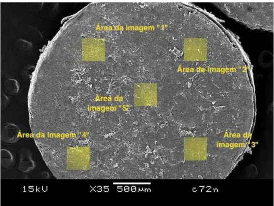 Figura 3 – Fotomicrografia eletrônica de varredura de um espécime com as regiões empregadas para as análises  quantitativas destacadas  em amarelo 