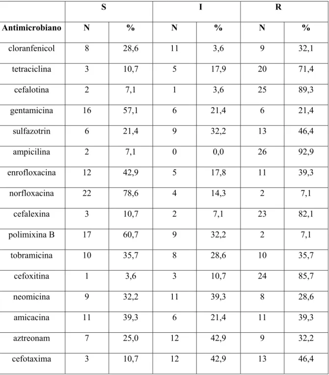 Tabela 4 - Freqüências de resistência e sensibilidade de cepas de bactérias Gram negativas  (exceto E.coli) isoladas de conteúdo intra-uterino de cadelas com piometra frente a  diversos antimicrobianos – São Paulo - 2004 