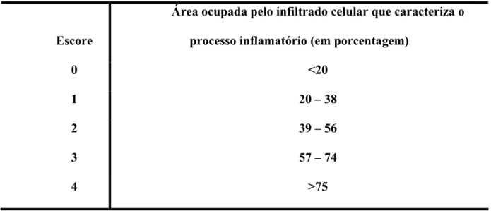 Tabela 1 - Interpretação dos escores correspondentes às áreas ocupadas pelos processos  inflamatórios – São Paulo - 2004 
