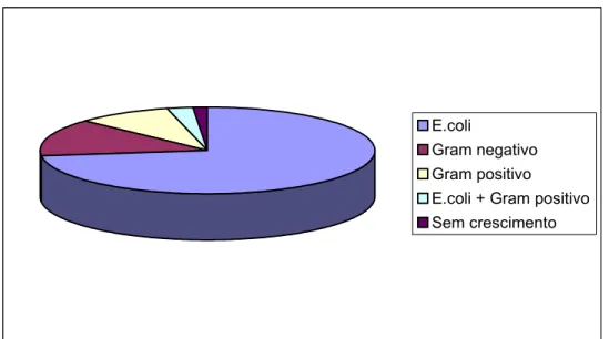 Gráfico 1 – Distribuição da freqüência de ocorrência de microorganismos isolados de  conteúdo intra-uterino de cadelas com piometra 