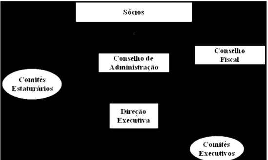 Ilustração 7 - Estrutura de Governança Corporativa  Fonte: elaborador pelo autor 