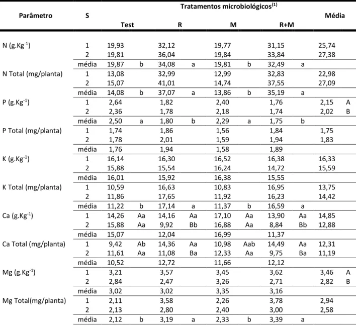 Tabela 2: Médias e testes de médias dos parâmetros nutricionais (teores e acúmulo de macronutrientes na parte  aérea), observadas em mudas de sabiá (Mimosa caesalpiniaefolia Benth), submetidas a inoculações com Rizóbio 