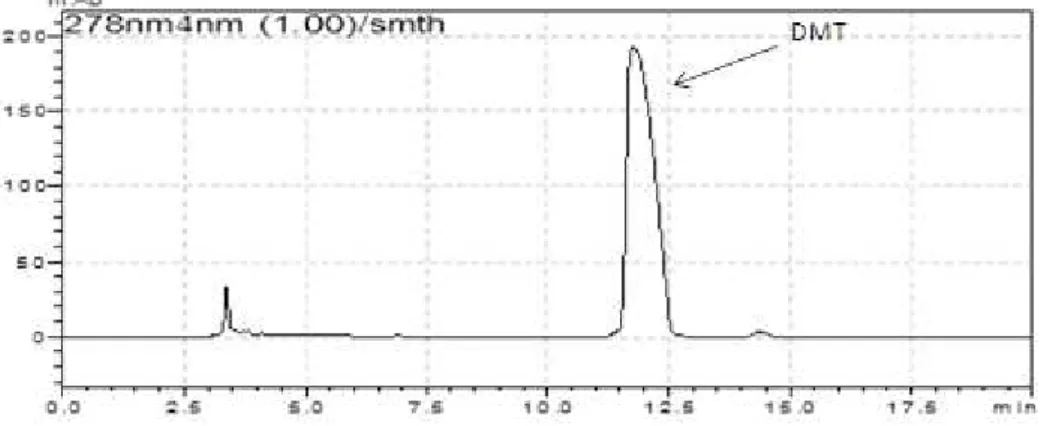 Figura 9: Cromatograma do produto obtido com a síntese da DMT, usando como fase móvel EtOAc:MeOH (70:30) + 0,1% 
